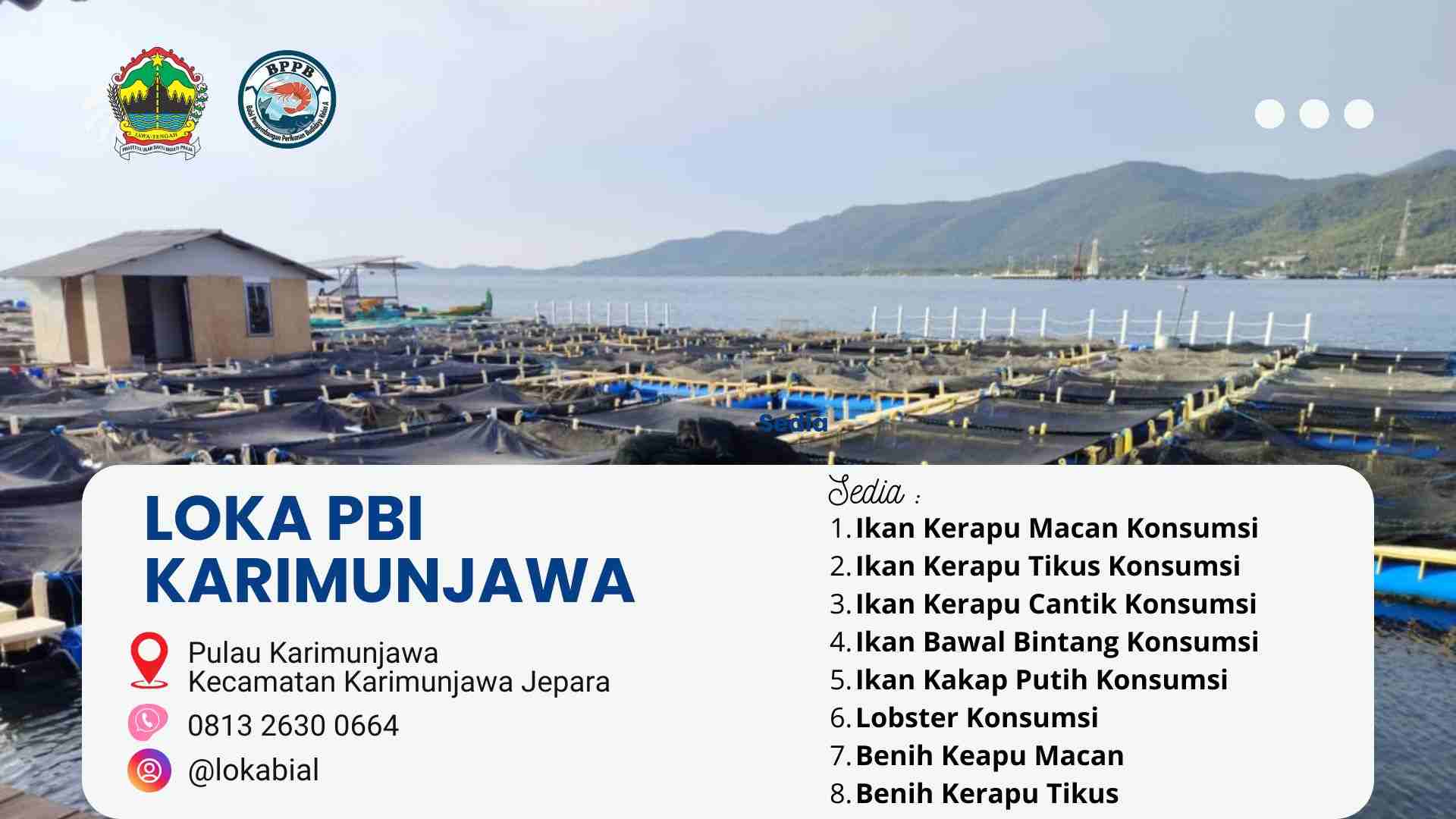 HsgWZEljbToyFBCcdOMgsUlYMnRCv2bx69jDMyjH.jpg