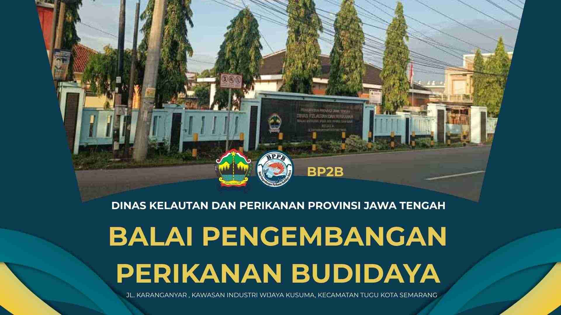 RP8oEmDs7fUDsqlDXNknHuYknCV25QjZOhRy8EFH.jpg
