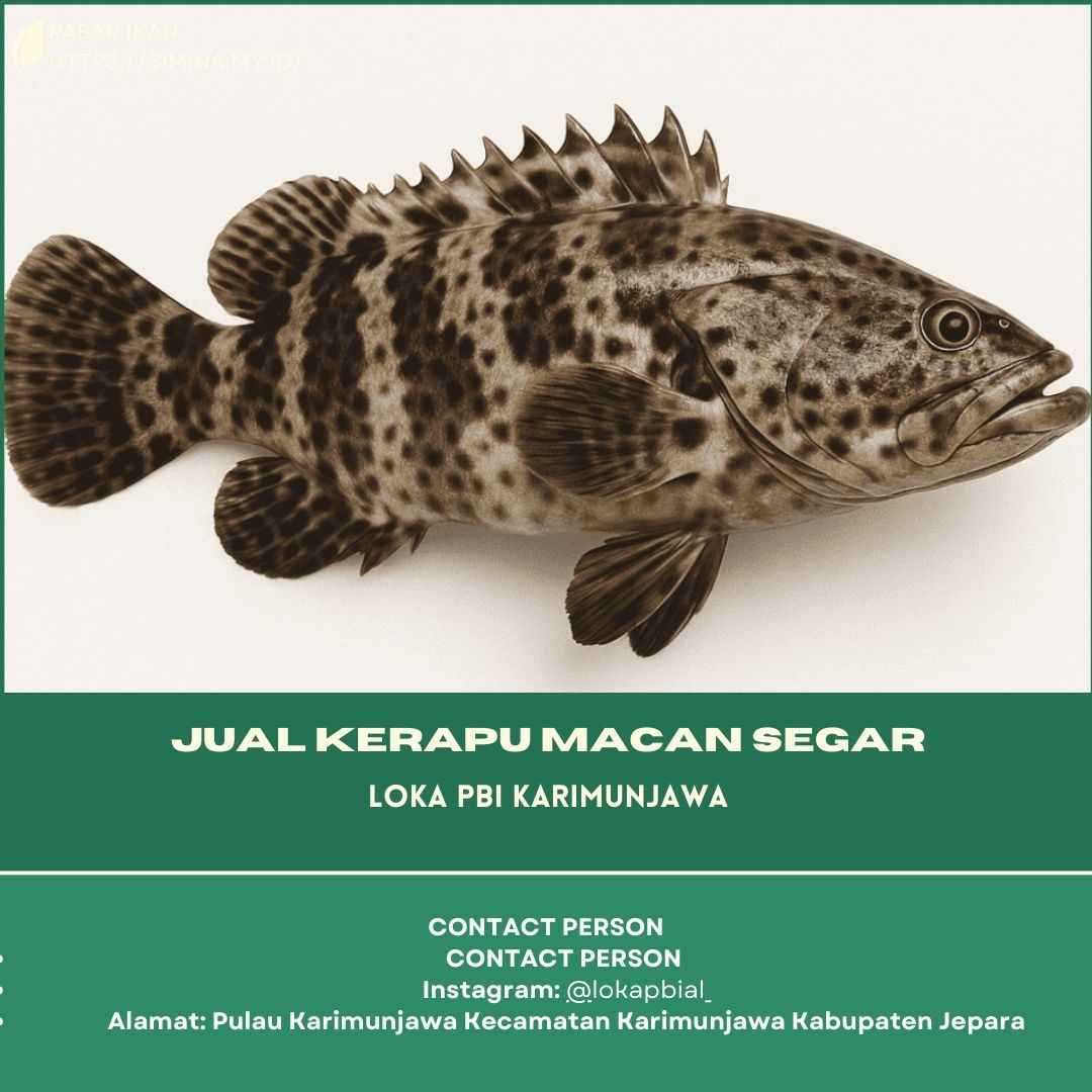 cSimw9sc7GjULyADXIgfJ0UKpSmPhBnl0Fovtu34.jpg